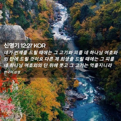 Picture 02 - 신명기 12:27 KOR - 네가 번제를 드릴 때에는 그 고기와 - Bible Verse Picture