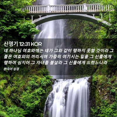 Picture 02 - 신명기 12:31 KOR - 네 하나님 여호와께는 네가 그와 - Bible Verse Picture