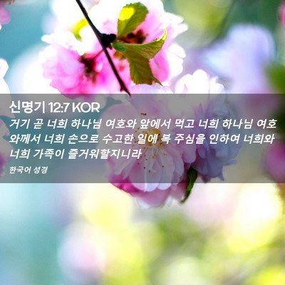 Picture 02 - 신명기 12:7 KOR - 거기 곧 너희 하나님 여호와 앞에서 - Bible Verse Picture