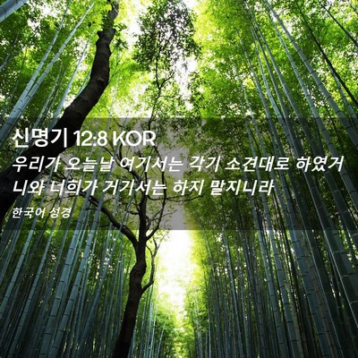 Picture 02 - 신명기 12:8 KOR - 우리가 오늘날 여기서는 각기 - Bible Verse Picture