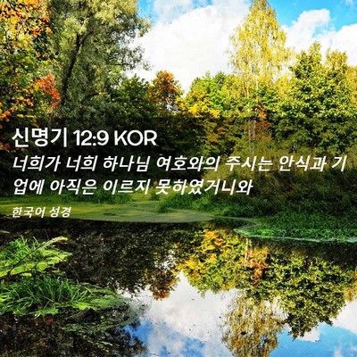 Picture 02 - 신명기 12:9 KOR - 너희가 너희 하나님 여호와의 주시는 - Bible Verse Picture