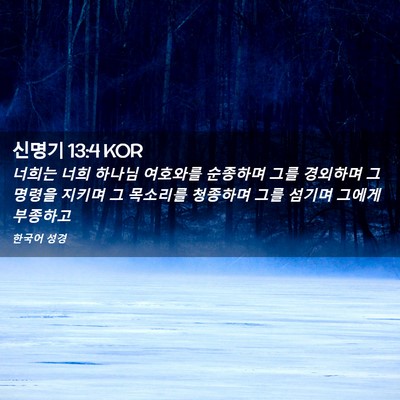 Picture 02 - 신명기 13:4 KOR - 너희는 너희 하나님 여호와를 - Bible Verse Picture