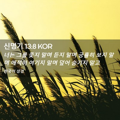Picture 02 - 신명기 13:8 KOR - 너는 그를 좇지 말며 듣지 말며 - Bible Verse Picture