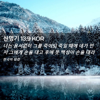 Picture 02 - 신명기 13:9 KOR - 너는 용서없이 그를 죽이되 죽일 - Bible Verse Picture