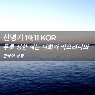 Picture 02 - 신명기 14:11 KOR - 무릇 정한 새는 너희가 - Bible Verse Picture