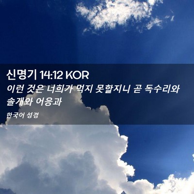 Picture 02 - 신명기 14:12 KOR - 이런 것은 너희가 먹지 못할지니 곧 - Bible Verse Picture
