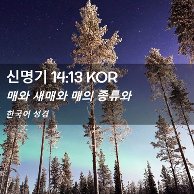 Picture 02 - 신명기 14:13 KOR - 매와 새매와 매의 - Bible Verse Picture