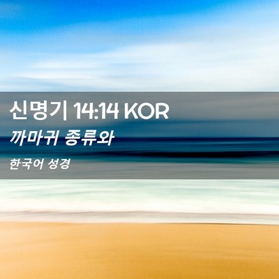 Picture 02 - 신명기 14:14 KOR - 까마귀 - Bible Verse Picture