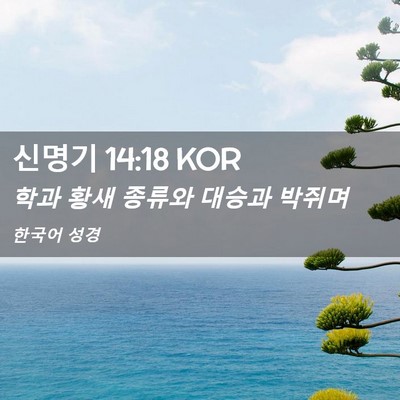 Picture 02 - 신명기 14:18 KOR - 학과 황새 종류와 대승과 - Bible Verse Picture
