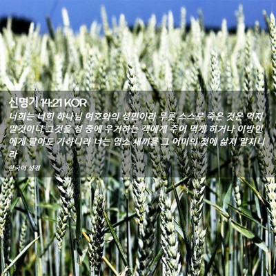 Picture 02 - 신명기 14:21 KOR - 너희는 너희 하나님 여호와의 - Bible Verse Picture