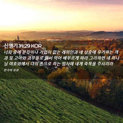 Picture 02 - 신명기 14:29 KOR - 너희 중에 분깃이나 기업이 없는 - Bible Verse Picture