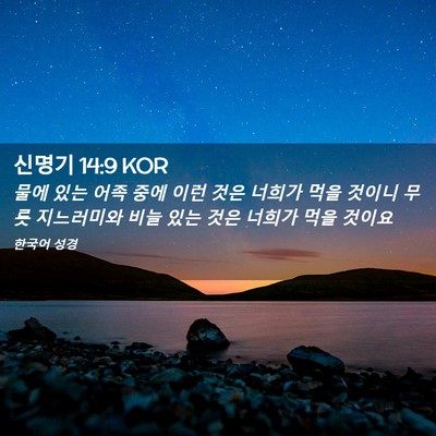 Picture 02 - 신명기 14:9 KOR - 물에 있는 어족 중에 이런 것은 - Bible Verse Picture