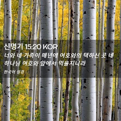 Picture 02 - 신명기 15:20 KOR - 너와 네 가족이 매년에 여호와의 - Bible Verse Picture
