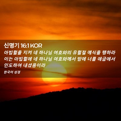 Picture 02 - 신명기 16:1 KOR - 아빕월을 지켜 네 하나님 여호와의 - Bible Verse Picture