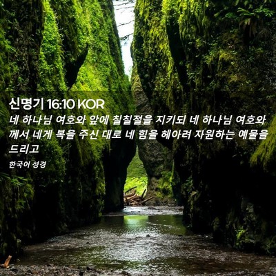 Picture 02 - 신명기 16:10 KOR - 네 하나님 여호와 앞에 칠칠절을 - Bible Verse Picture