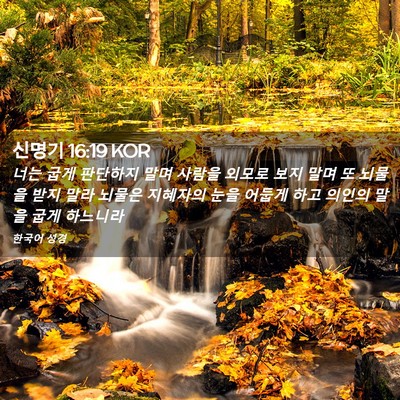 Picture 02 - 신명기 16:19 KOR - 너는 굽게 판단하지 말며 사람을 - Bible Verse Picture