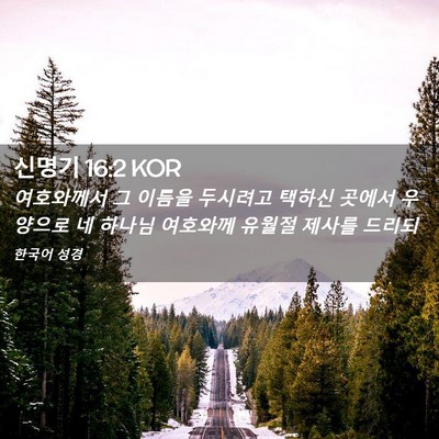 Picture 02 - 신명기 16:2 KOR - 여호와께서 그 이름을 두시려고 - Bible Verse Picture