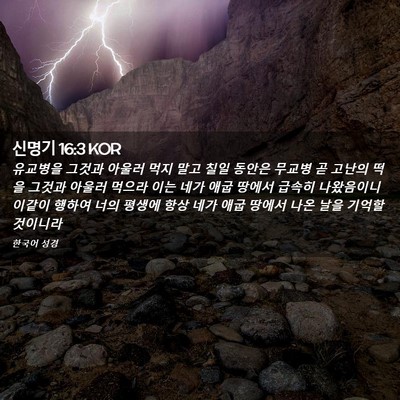 Picture 02 - 신명기 16:3 KOR - 유교병을 그것과 아울러 먹지 말고 - Bible Verse Picture