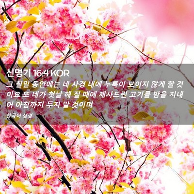 Picture 02 - 신명기 16:4 KOR - 그 칠일 동안에는 네 사경 내에 - Bible Verse Picture