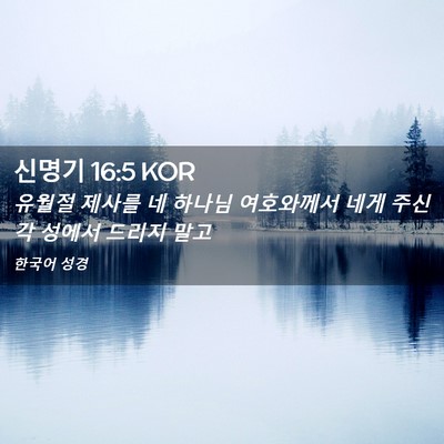 Picture 02 - 신명기 16:5 KOR - 유월절 제사를 네 하나님 여호와께서 - Bible Verse Picture