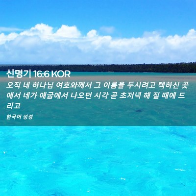 Picture 02 - 신명기 16:6 KOR - 오직 네 하나님 여호와께서 그 - Bible Verse Picture
