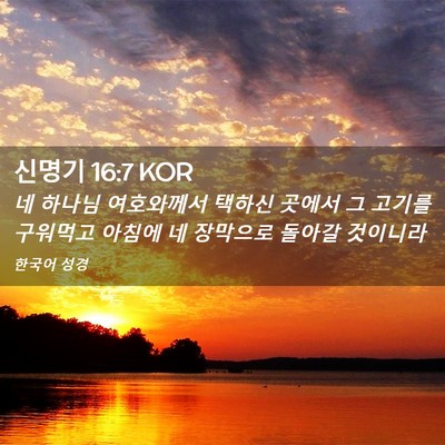 Picture 02 - 신명기 16:7 KOR - 네 하나님 여호와께서 택하신 곳에서 - Bible Verse Picture