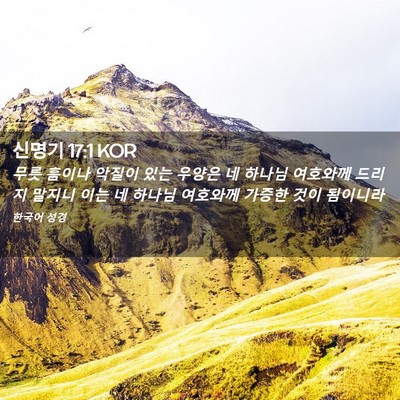 Picture 02 - 신명기 17:1 KOR - 무릇 흠이나 악질이 있는 우양은 네 - Bible Verse Picture
