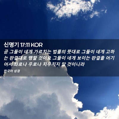 Picture 02 - 신명기 17:11 KOR - 곧 그들이 네게 가르치는 법률의 - Bible Verse Picture