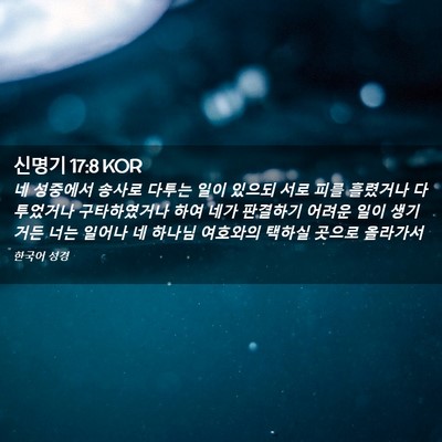 Picture 02 - 신명기 17:8 KOR - 네 성중에서 송사로 다투는 일이 - Bible Verse Picture