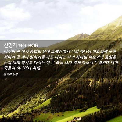 Picture 02 - 신명기 18:16 KOR - 이것이 곧 네가 총회의 날에 - Bible Verse Picture