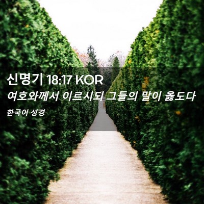 Picture 02 - 신명기 18:17 KOR - 여호와께서 이르시되 그들의 말이 - Bible Verse Picture