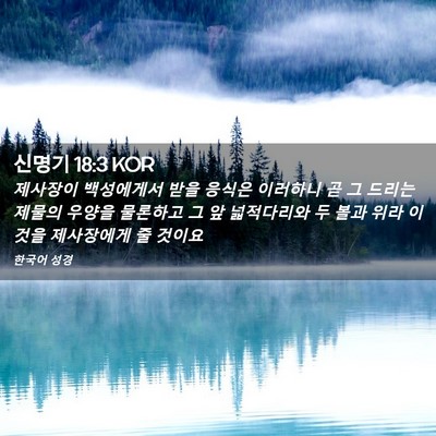 Picture 02 - 신명기 18:3 KOR - 제사장이 백성에게서 받을 응식은 - Bible Verse Picture