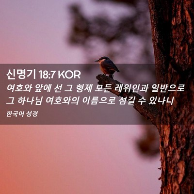 Picture 02 - 신명기 18:7 KOR - 여호와 앞에 선 그 형제 모든 - Bible Verse Picture
