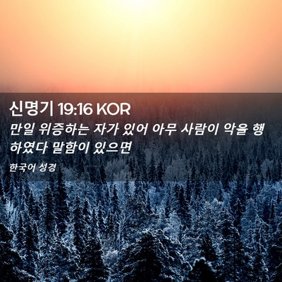 Picture 02 - 신명기 19:16 KOR - 만일 위증하는 자가 있어 아무 - Bible Verse Picture
