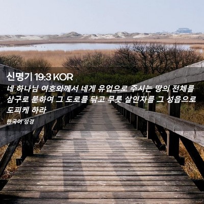 Picture 02 - 신명기 19:3 KOR - 네 하나님 여호와께서 네게 유업으로 - Bible Verse Picture