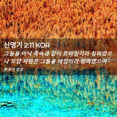 Picture 02 - 신명기 2:11 KOR - 그들을 아낙 족속과 같이 르바임이라 - Bible Verse Picture