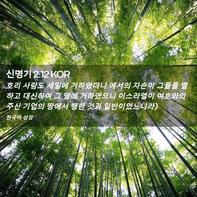 Picture 02 - 신명기 2:12 KOR - 호리 사람도 세일에 거하였더니 - Bible Verse Picture