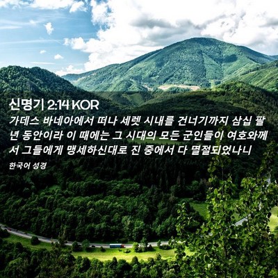 Picture 02 - 신명기 2:14 KOR - 가데스 바네아에서 떠나 세렛 시내를 - Bible Verse Picture