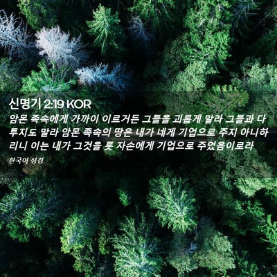 Picture 02 - 신명기 2:19 KOR - 암몬 족속에게 가까이 이르거든 - Bible Verse Picture
