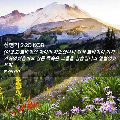 Picture 02 - 신명기 2:20 KOR - (이곳도 르바임의 땅이라 하였었나니 - Bible Verse Picture