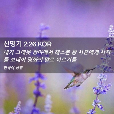 Picture 02 - 신명기 2:26 KOR - 내가 그데못 광야에서 헤스본 왕 - Bible Verse Picture