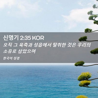 Picture 02 - 신명기 2:35 KOR - 오직 그 육축과 성읍에서 탈취한 - Bible Verse Picture