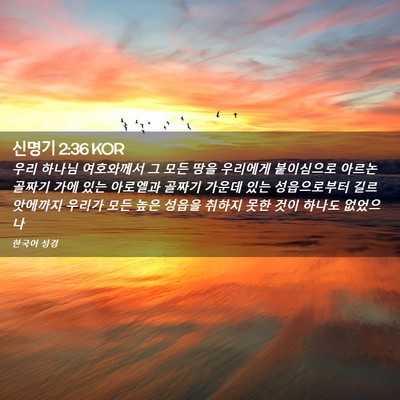 Picture 02 - 신명기 2:36 KOR - 우리 하나님 여호와께서 그 모든 - Bible Verse Picture