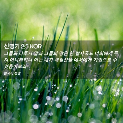 Picture 02 - 신명기 2:5 KOR - 그들과 다투지 말라 그들의 땅은 한 - Bible Verse Picture