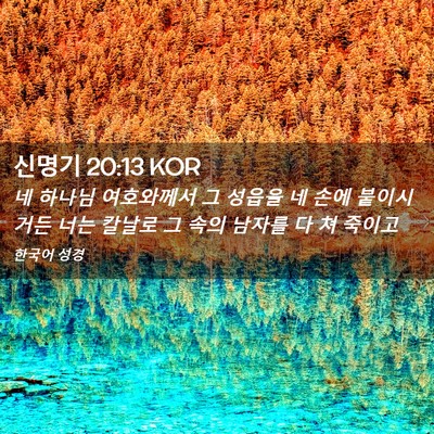 Picture 02 - 신명기 20:13 KOR - 네 하나님 여호와께서 그 성읍을 네 - Bible Verse Picture