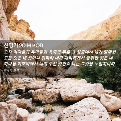 Picture 02 - 신명기 20:14 KOR - 오직 여자들과 유아들과 육축과 무릇 - Bible Verse Picture