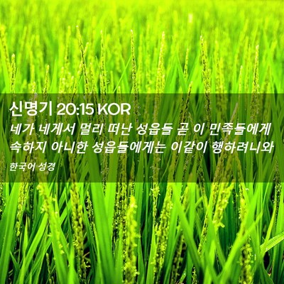 Picture 02 - 신명기 20:15 KOR - 네가 네게서 멀리 떠난 성읍들 곧 이 - Bible Verse Picture