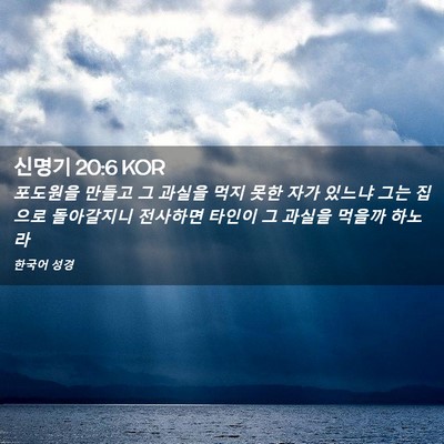 Picture 02 - 신명기 20:6 KOR - 포도원을 만들고 그 과실을 먹지 - Bible Verse Picture