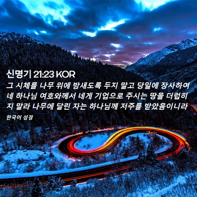 Picture 02 - 신명기 21:23 KOR - 그 시체를 나무 위에 밤새도록 두지 - Bible Verse Picture