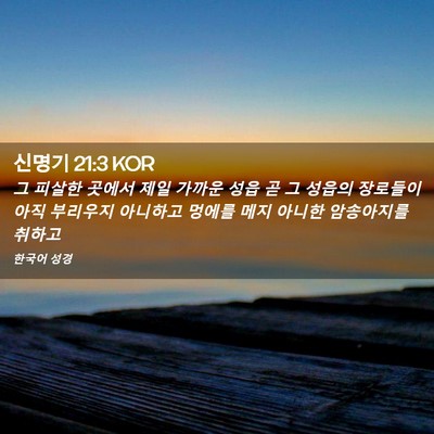 Picture 02 - 신명기 21:3 KOR - 그 피살한 곳에서 제일 가까운 성읍 - Bible Verse Picture